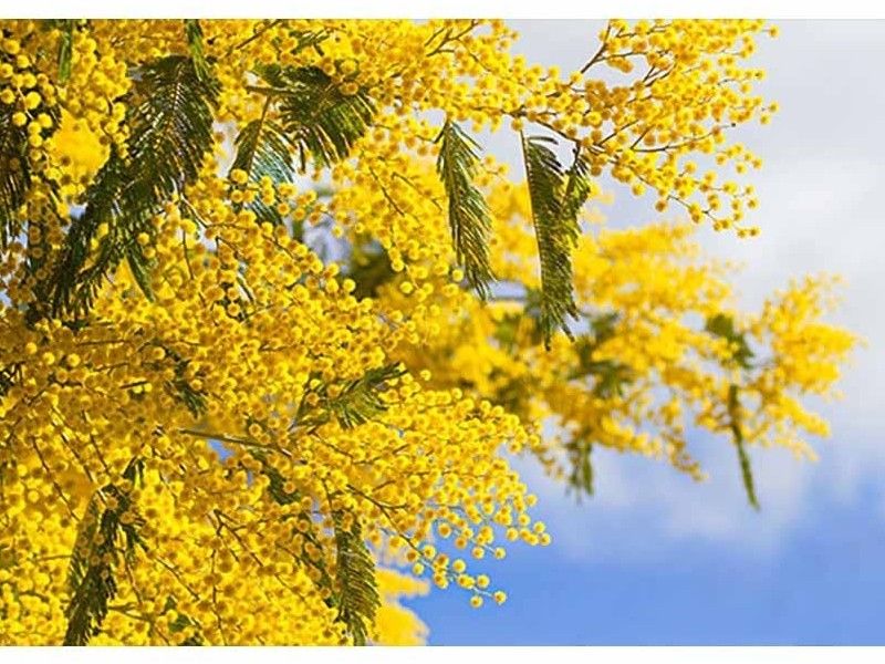 浜松メモリアルガーデン