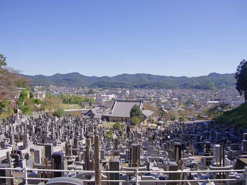 足利市の街並みを一望できます