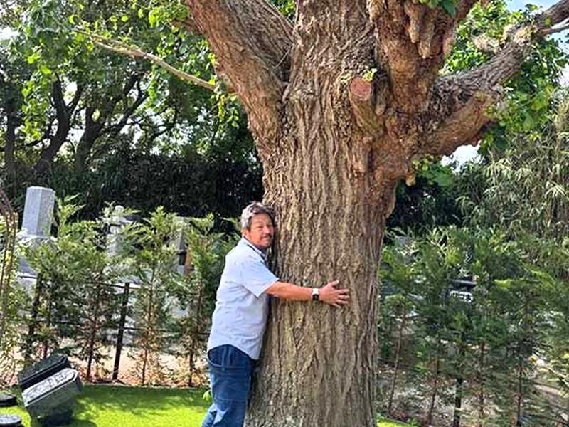 横須賀ヒルズ樹木葬ふじみ