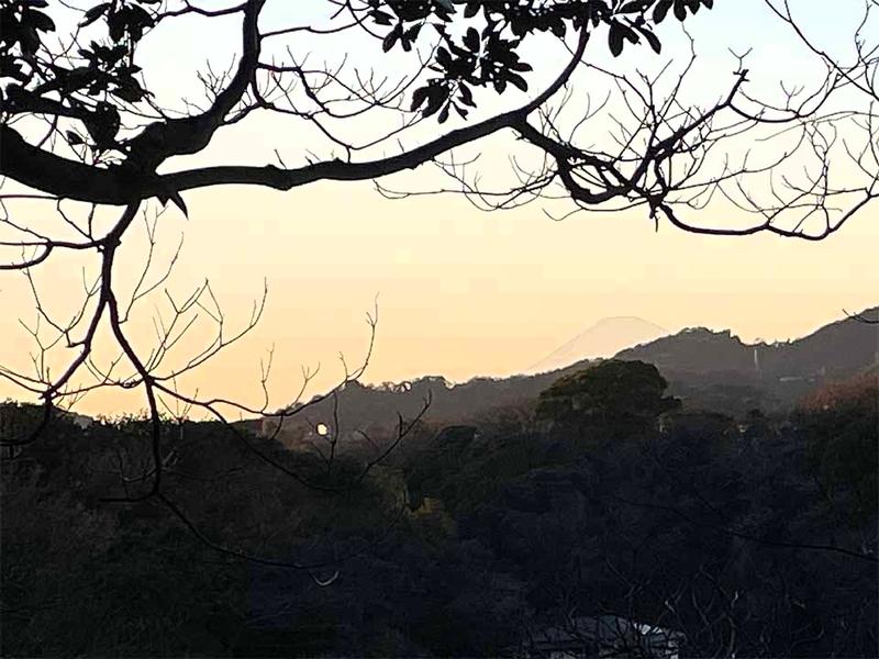 横須賀ヒルズ樹木葬ふじみ