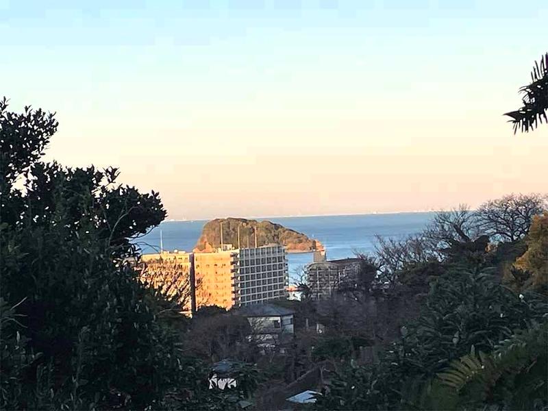 横須賀ヒルズ樹木葬ふじみ