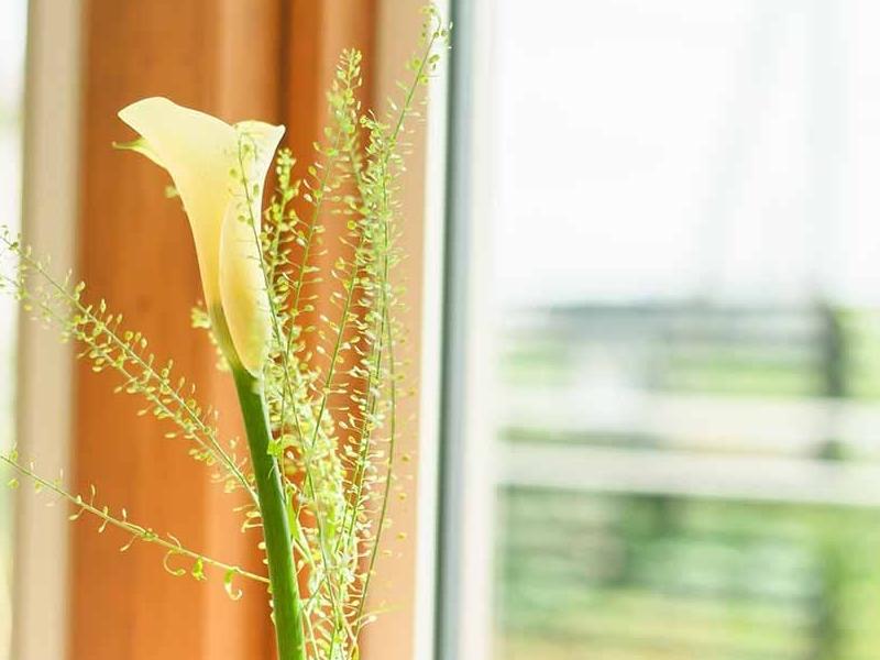 東照寺 納骨堂てらす 札幌