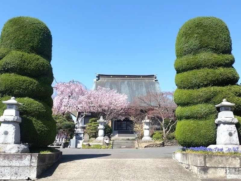 充国寺 永代供養墓