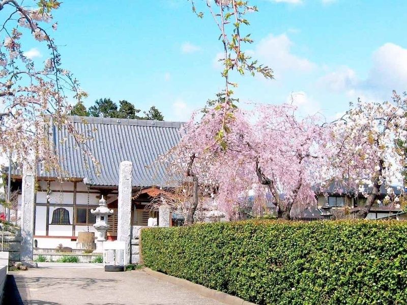 ふじみ桂葉霊園