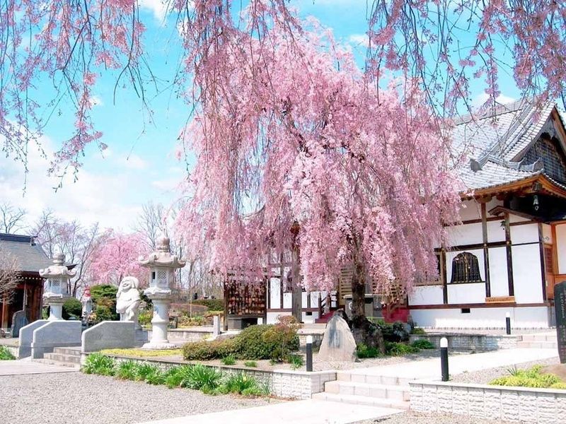 ふじみ桂葉霊園