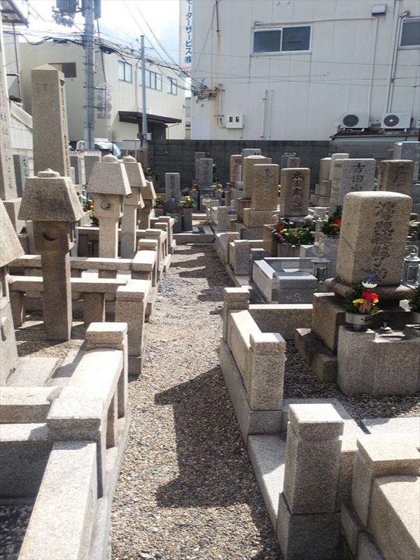 森河内墓地　整備された区画