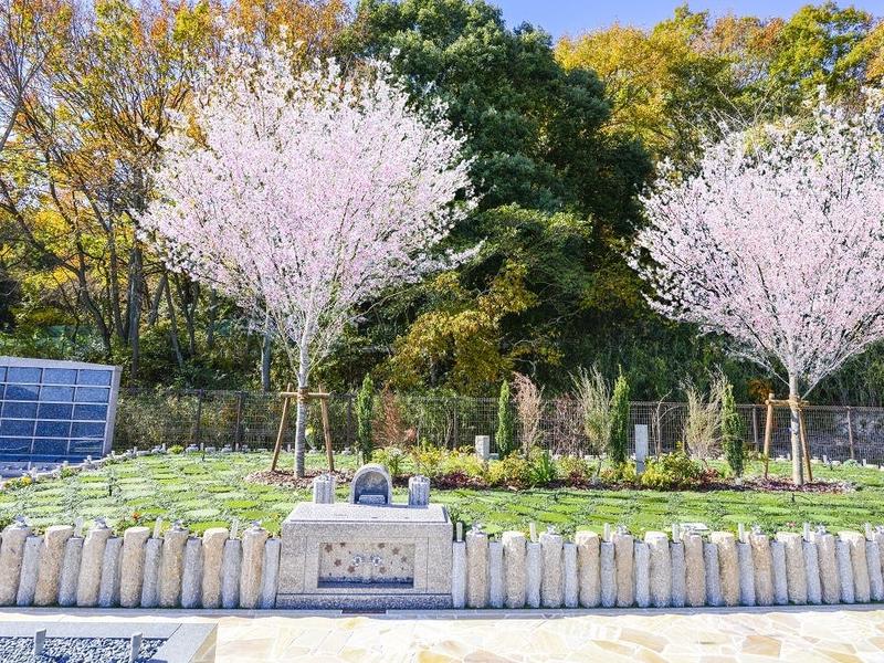 樹木葬 桜