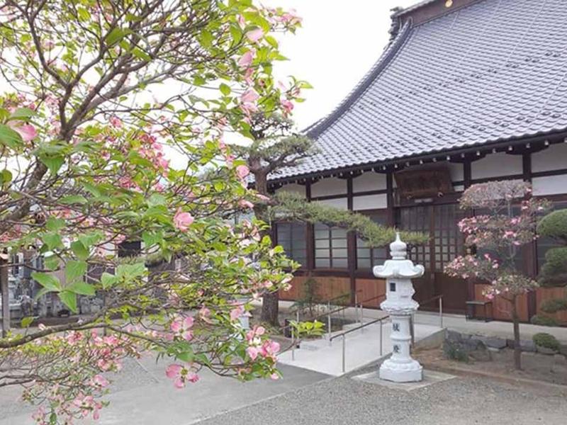 常楽寺
