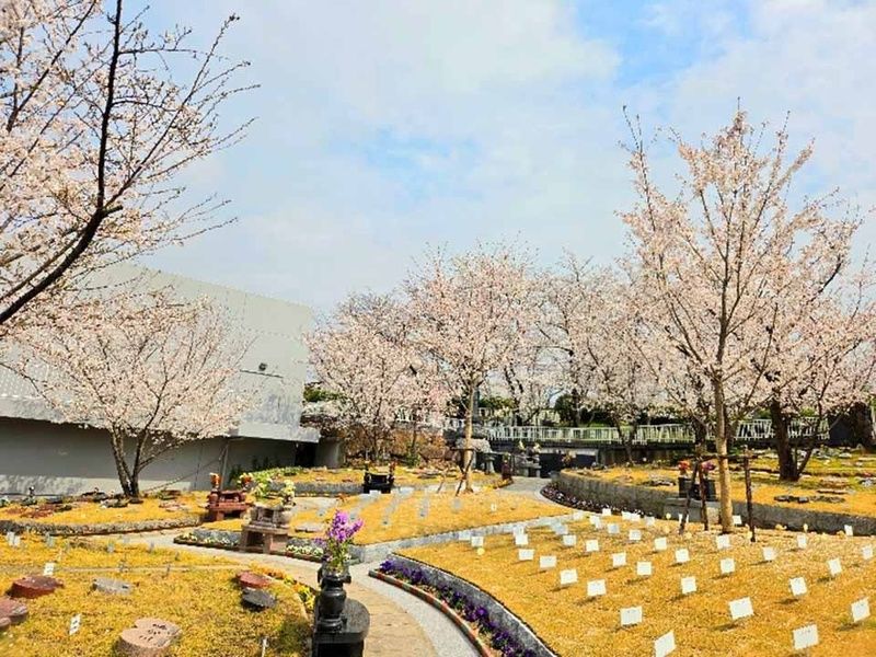 太陽の塔桜ヶ丘・コスモガーデン桜ヶ丘