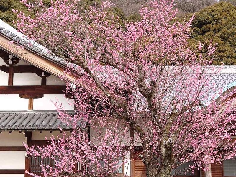 天澤院 永代供養・合祀墓