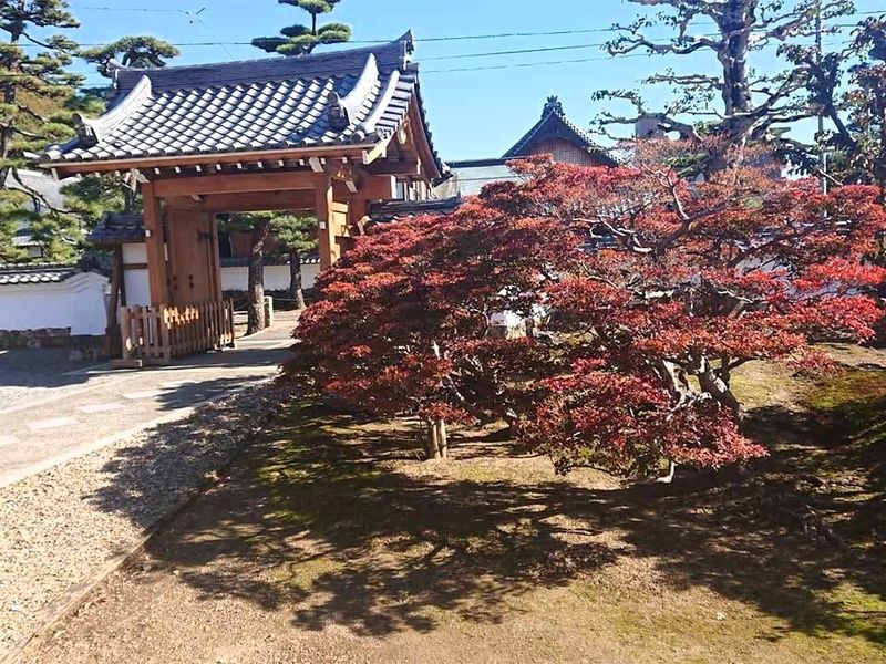 境内風景（秋）