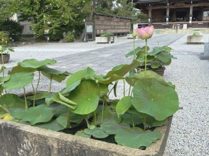 善光寺東海別院 本堂納骨堂