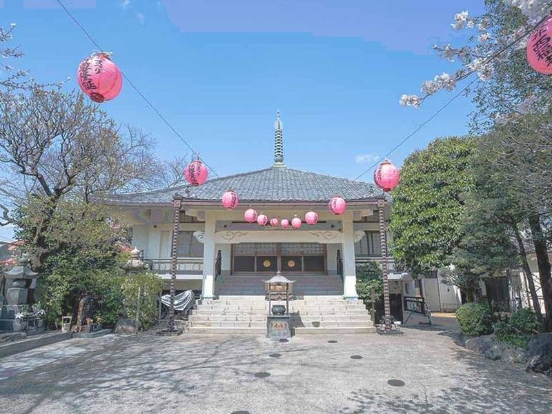 サクラテラスそめい 樹木葬