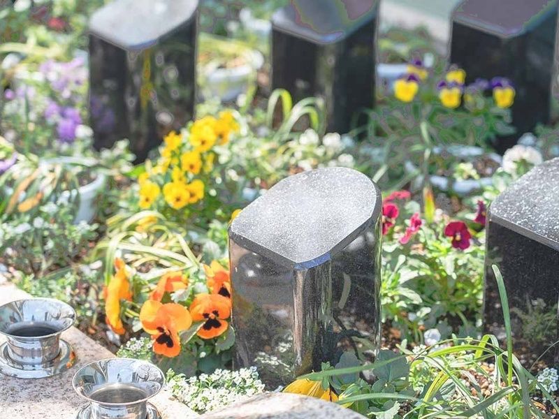 サクラテラスそめい 樹木葬