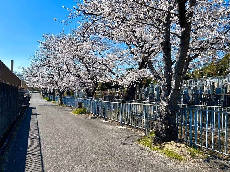 慶栄寺 樹木葬・永代供養墓