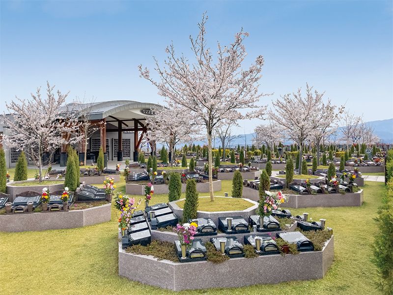 桜の木の下で眠る「樹木葬さくら」