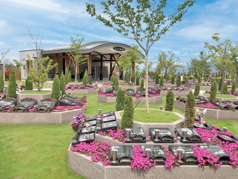 美しい芝桜「樹木葬さくら」