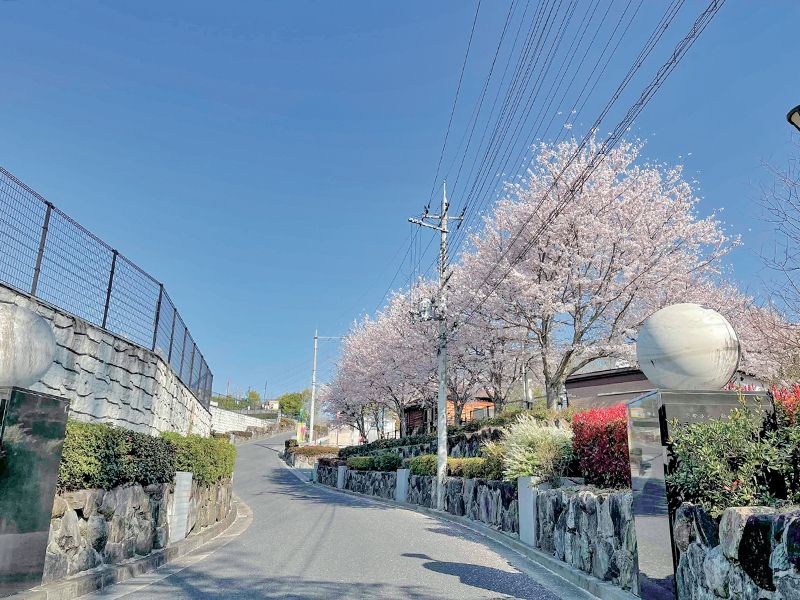 園内風景（桜の季節）