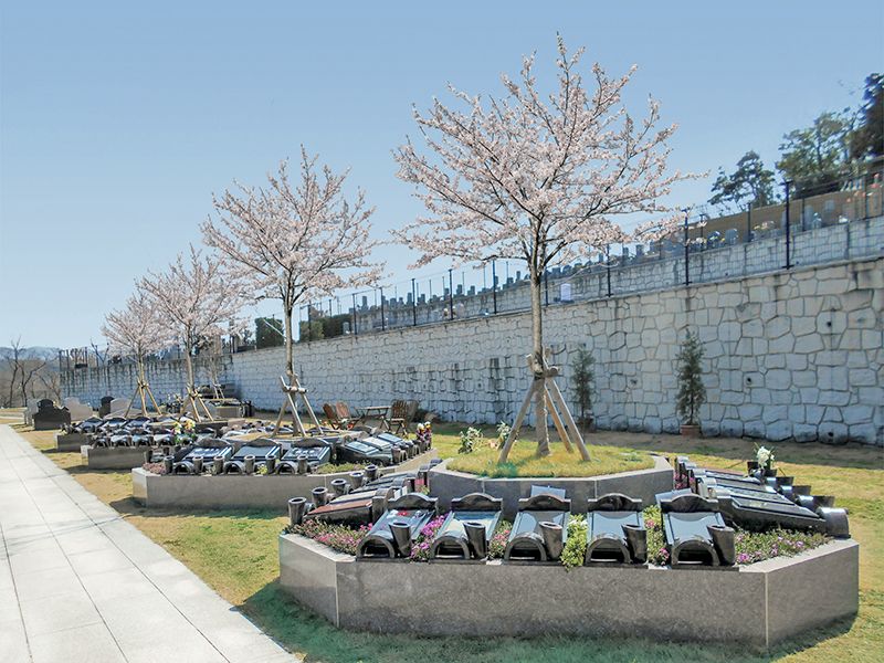 桜の木の下で眠る「樹木葬さくら」