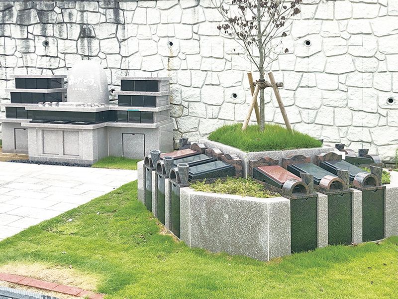 ペットと一緒に眠る「ハナミズキ」