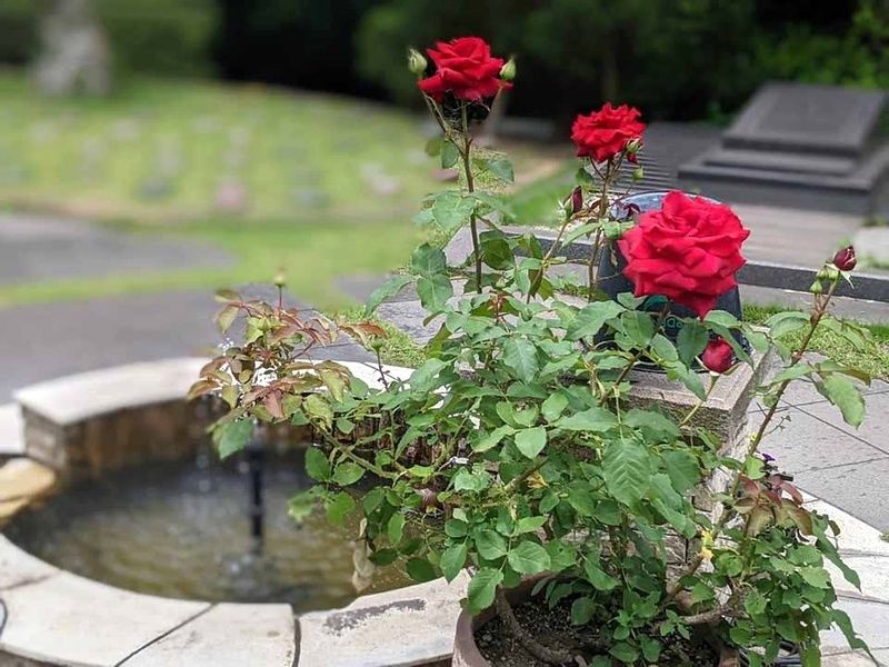 GARDEN'S倉敷
