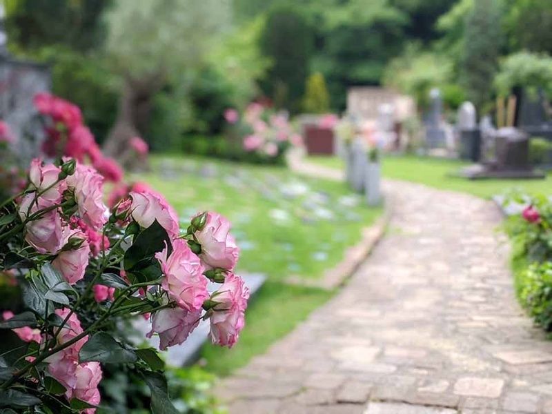 GARDEN'S倉敷