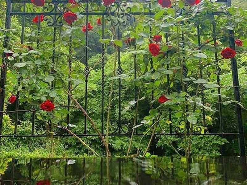GARDEN'S倉敷