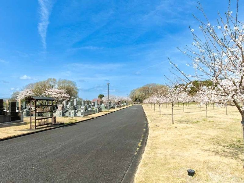 園内に設けられた幅広い参道