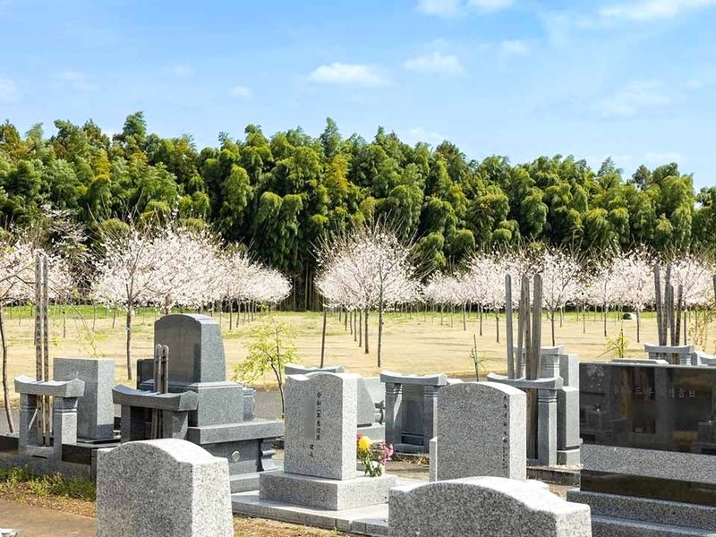 桜に包まれた樹木葬