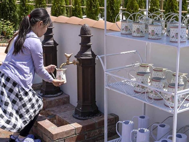 可愛らしい小鳥の水汲み場