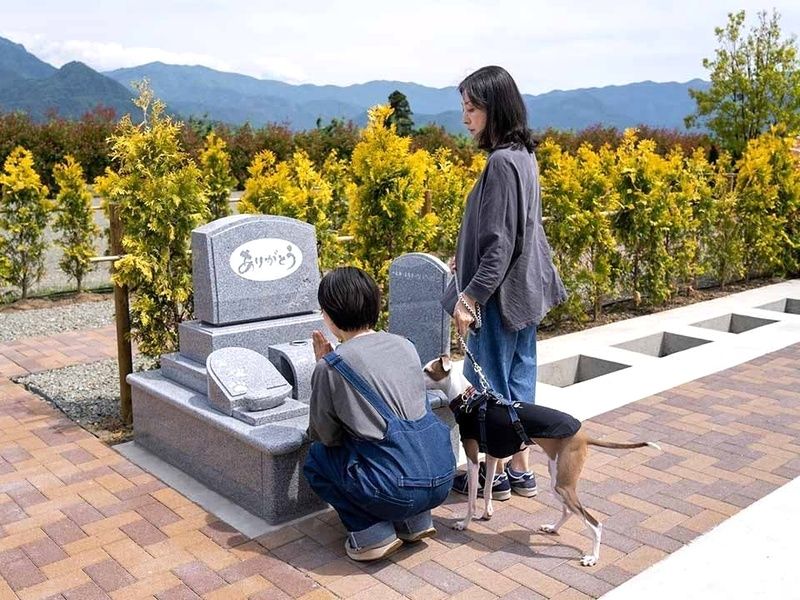 一般墓区画（写真はペットと一緒エリア）