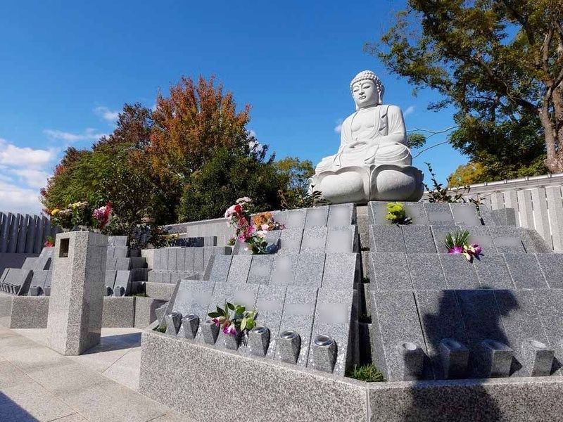 本堂西側樹木葬　椿をシンボルに据えた、大変お求めやすい価格（総額８万円～）の樹木葬です