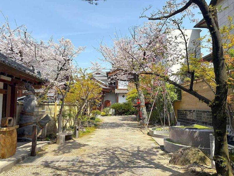 江戸時代には齢延彼岸桜と謡われた、大阪市内とは思えないような緑豊かな環境です