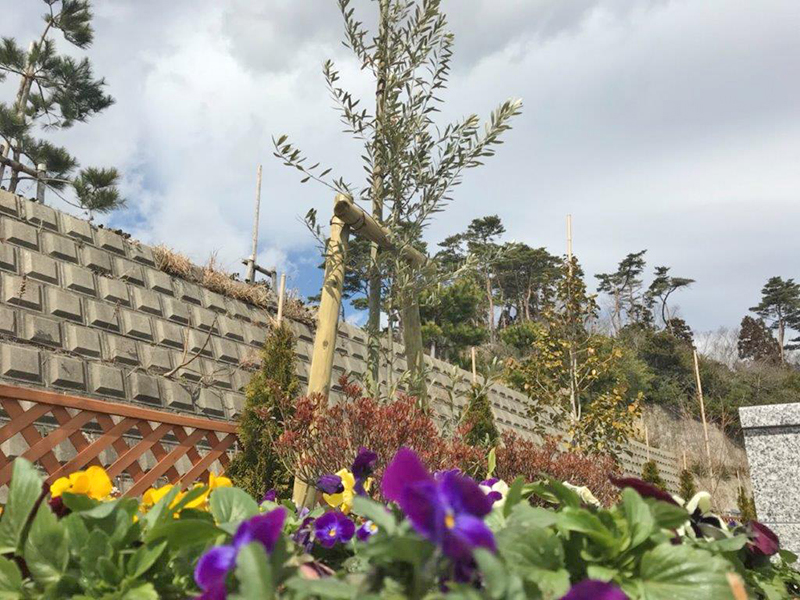 マイメモリー樹木葬 のびる