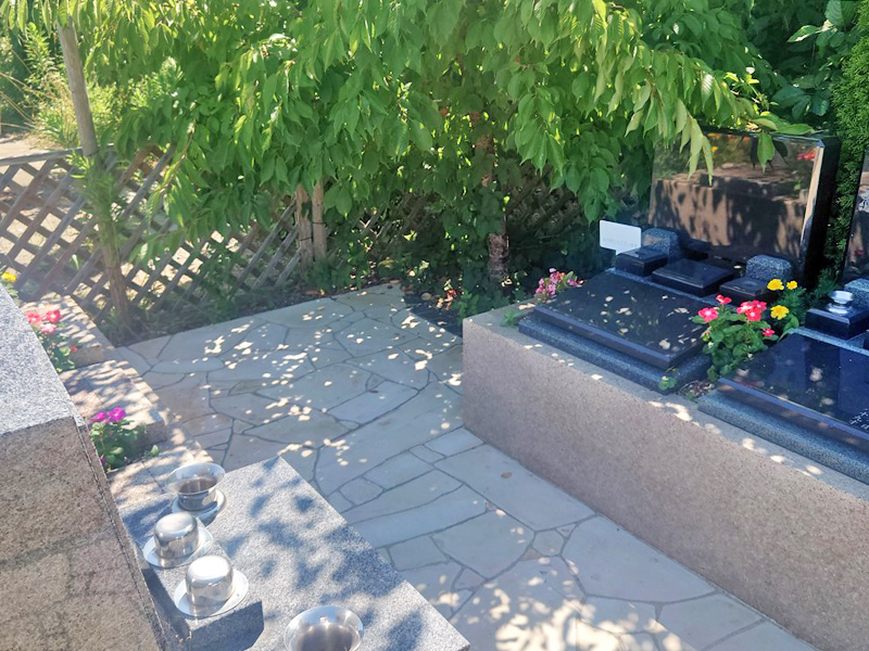 マイメモリー樹木葬 のびる