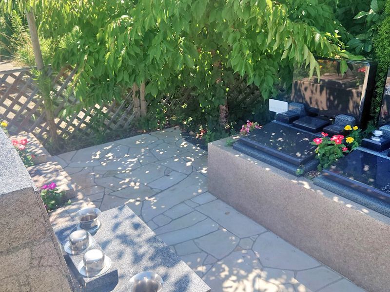 マイメモリー樹木葬 のびる