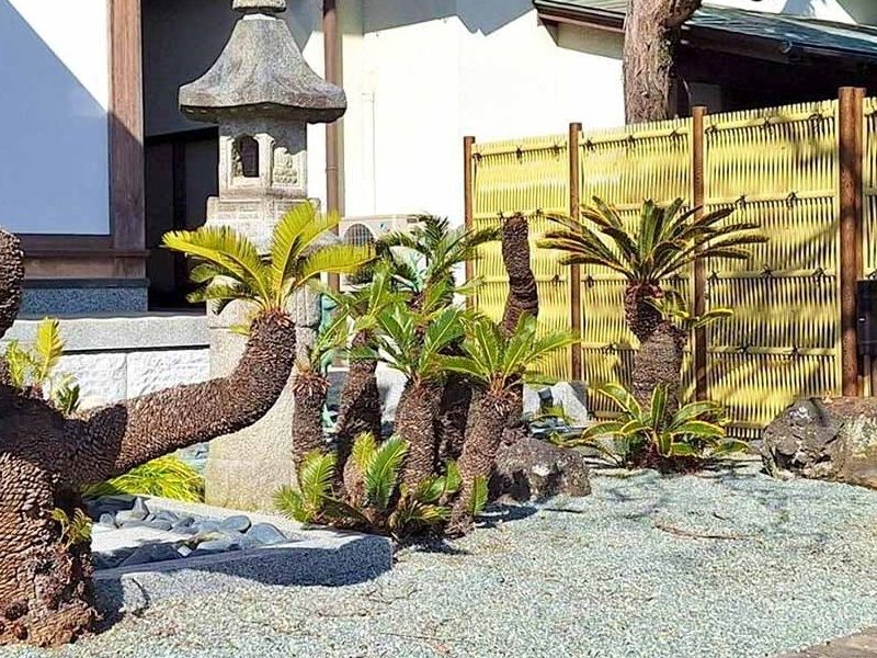 湘南大磯汐彩樹木葬墓地