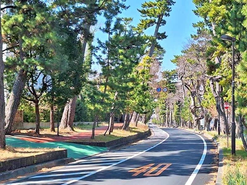 湘南大磯汐彩樹木葬墓地