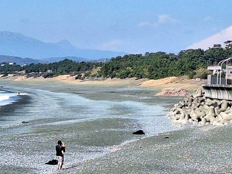湘南大磯汐彩樹木葬墓地
