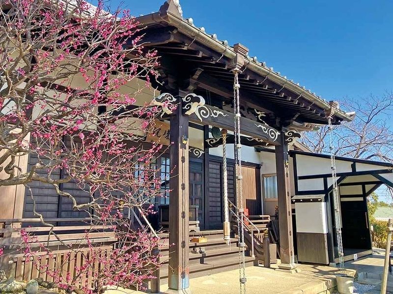 富岡さくら樹木葬墓地