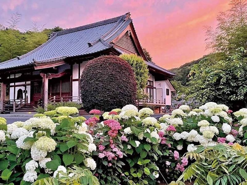 夕陽に染まる本堂外観