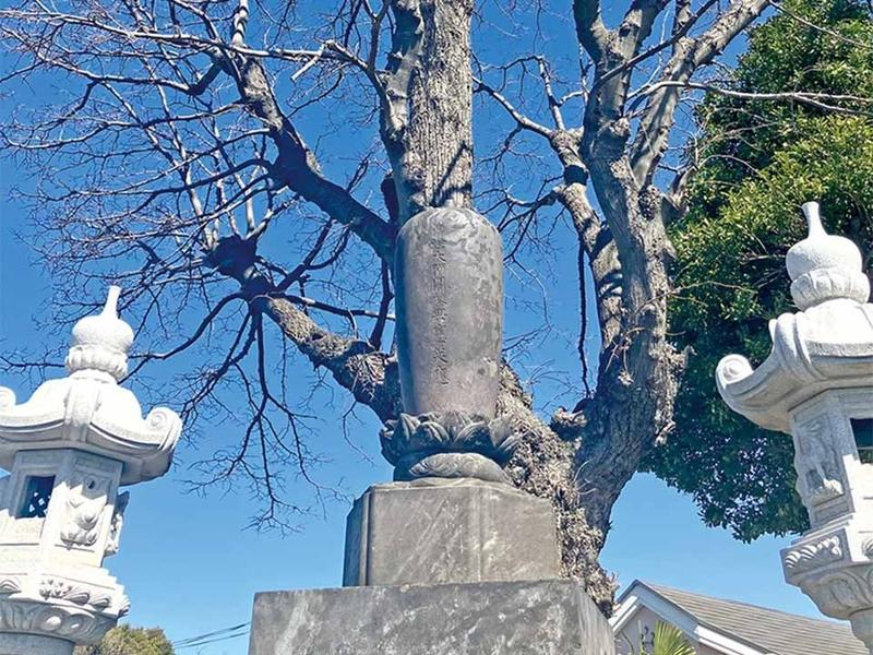 由緒ある寺院には代々継がれているお墓も建立されています