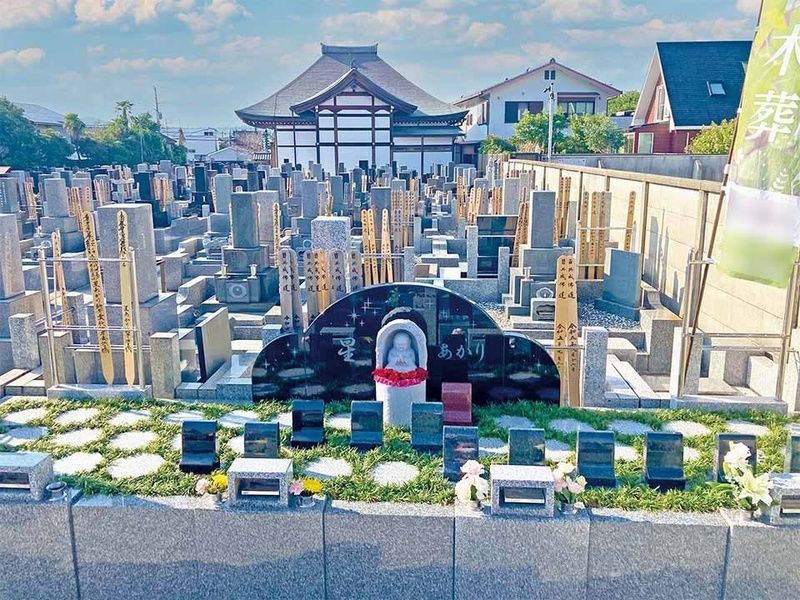 星あかり　※完売