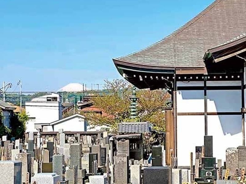 墓苑から見える富士山