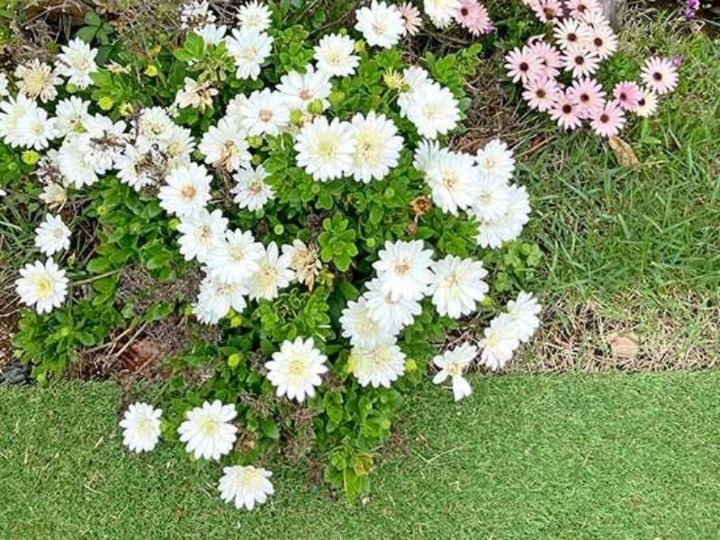 伊勢原樹木葬墓地