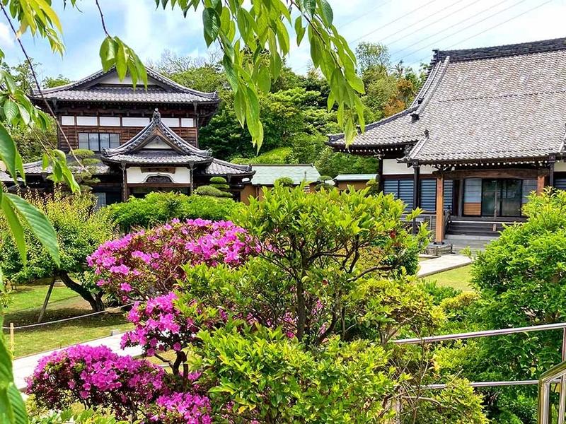 横須賀衣笠樹木葬墓地