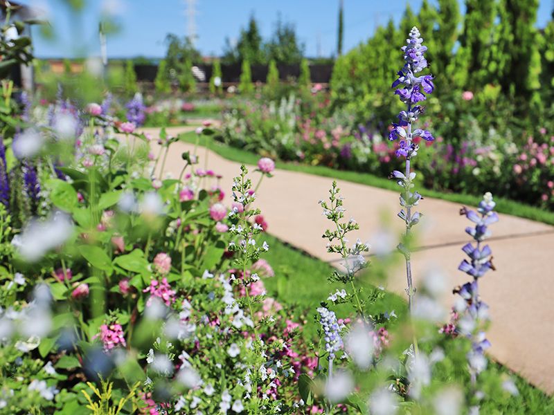 永代供養専用エリア『 四季庭』 参道