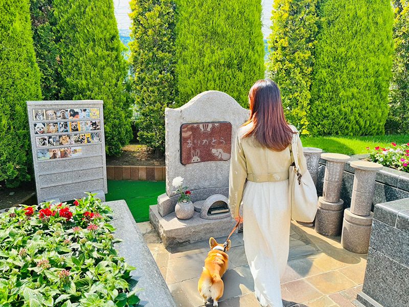 サニープレイス松戸 永代供養墓・樹木葬・納骨堂