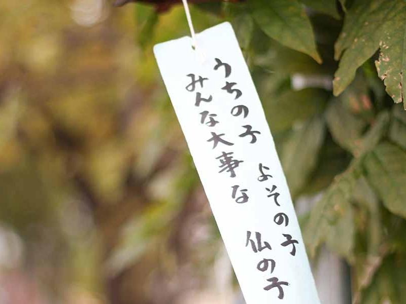 東江寺 多田薬師