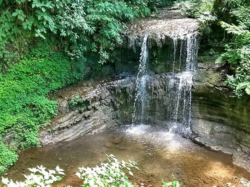 今泉山 称名寺